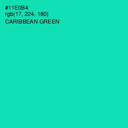 #11E0B4 - Caribbean Green Color Image